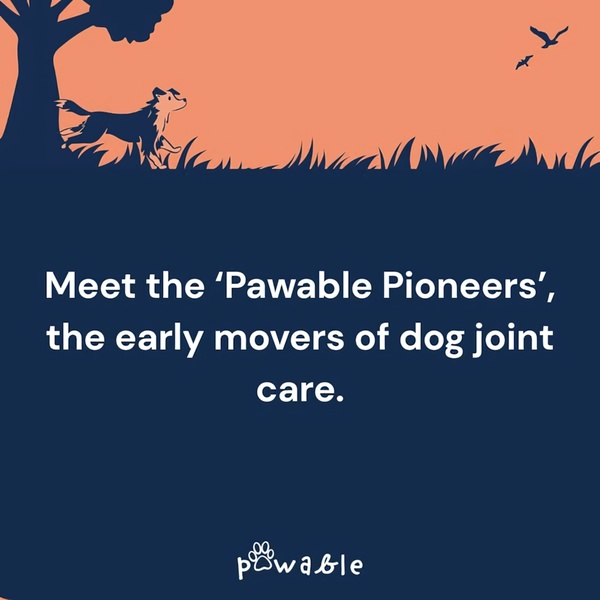 A minimalist, illustrative 1:1 creative that positions the brand as a leader in canine joint health through a clean, metaphorical visual narrative.